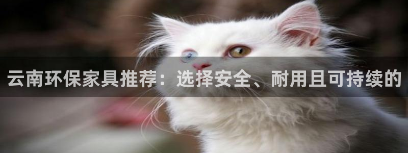 沐鸣2代理连接：云南环保家具推荐：选择安全、耐用且可持续的