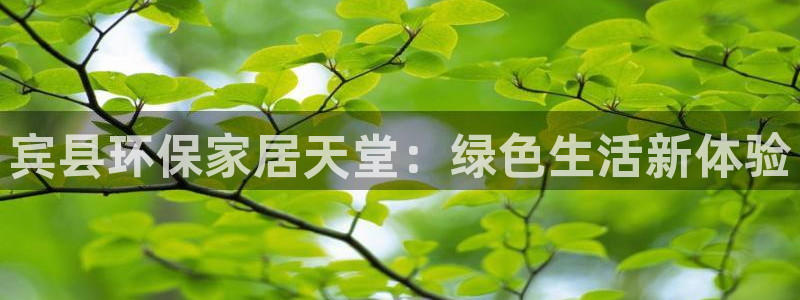 沐鸣2代理注册开户：宾县环保家居天堂：绿色生活新体验
