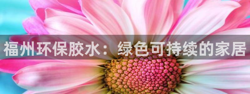 沐鸣23代理：福州环保胶水：绿色可持续的家居