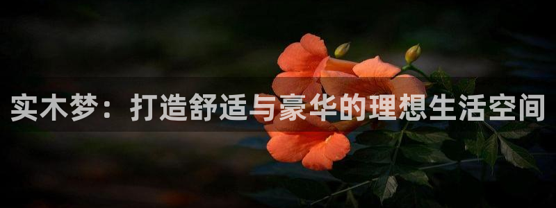 沐鸣2平台黑款：实木梦：打造舒适与豪华的理想生活空间