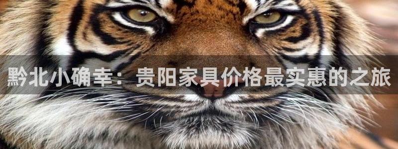 沐鸣2注册地址：黔北小确幸：贵阳家具价格最实惠的之旅
