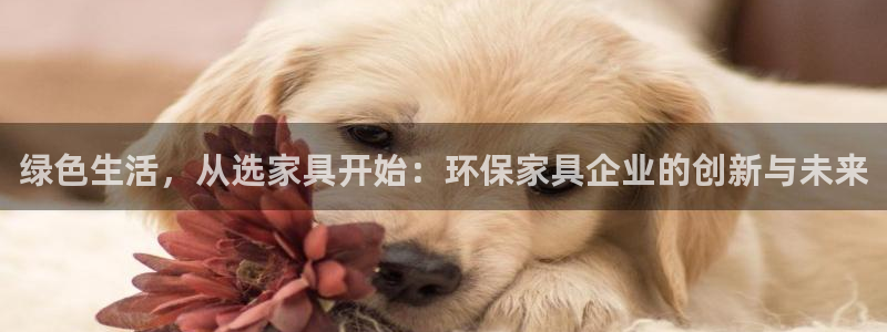 沐鸣2平台官网登录：绿色生活，从选家具开始：环保家具企业的创