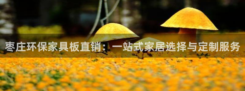 沐鸣2平台注册地址：枣庄环保家具板直销：一站式家居选择与定制