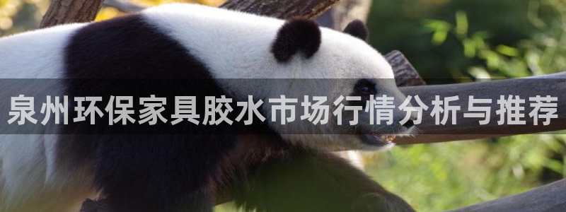 沐鸣2平台登录网站：泉州环保家具胶水市场行情分析与推荐