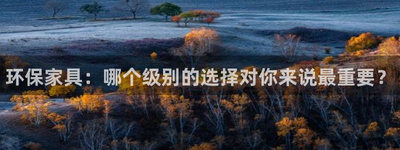 沐鸣2平台线路：环保家具：哪个级别的选择对你来说最重要？