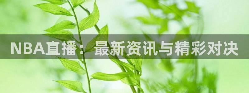 24直播网体育在线直播nba：NBA直播：最新资讯与精彩对决