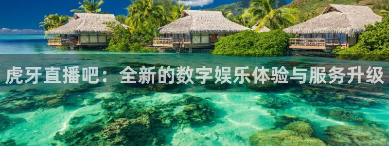 24直播网足球在线：虎牙直播吧：全新的数字娱乐体验与服务升级