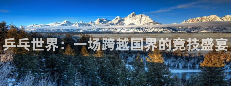 24直播免费足球直播直播：乒乓世界：一场跨越国界的竞技盛宴