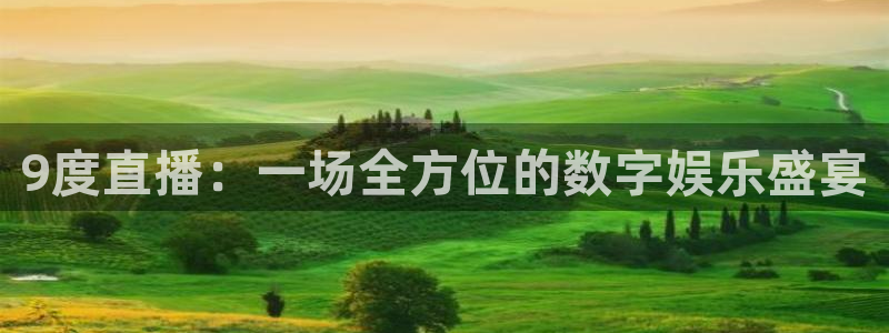 24直播网足球免费直播：9度直播：一场全方位的数字娱乐盛宴
