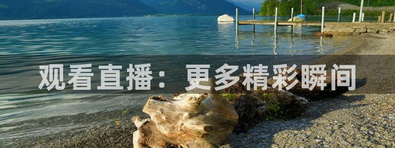 24直播 体育：观看直播：更多精彩瞬间