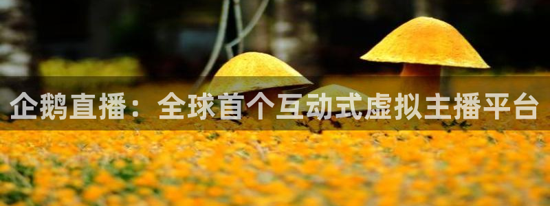 nba直播在线观看24直播网：企鹅直播：全球首个互动式虚拟主播平台
