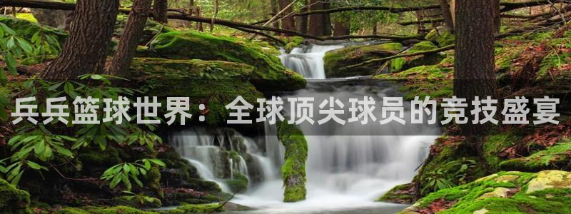 24直播网cba直播：兵兵篮球世界：全球顶尖球员的竞技盛宴