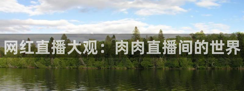 24直播免费足球直播直播：网红直播大观：肉肉直播间的世界