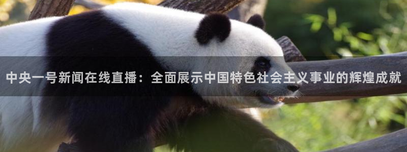 24直播网体育在线直播nba：中央一号新闻在线直播：全面展示中国特色社会主义事业的辉煌成就