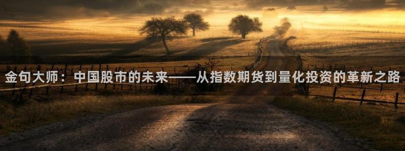 下载24直播网：金句大师：中国股市的未来——从指数期货到量化投资的革新之路