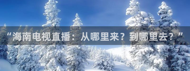 nba直播24直播：“海南电视直播：从哪里来？到哪里去？”