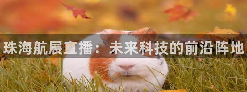 24直播吧 看球吧：珠海航展直播：未来科技的前沿阵地