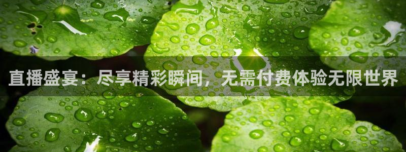 24直播网足球直播网：直播盛宴：尽享精彩瞬间，无需付费体验无限世界