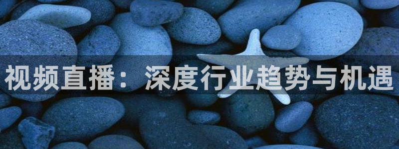 nba直播24直播网：视频直播：深度行业趋势与机遇