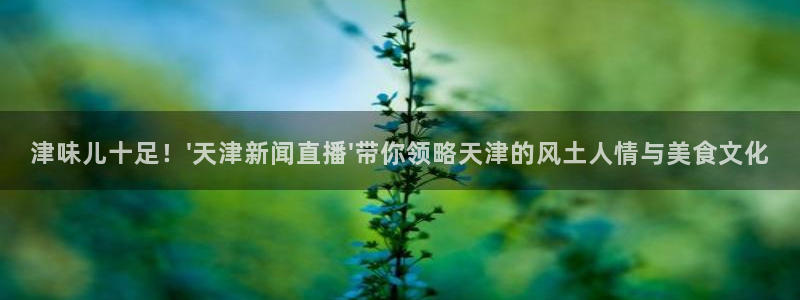 英超直播24直播网：津味儿十足！\'天津新闻直播\'带你领略天津的风土人情与美食文化