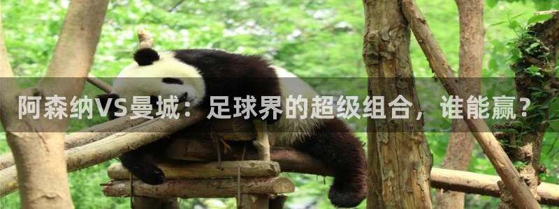 24直播免费篮球球直播：阿森纳VS曼城：足球界的超级组合，谁能赢？