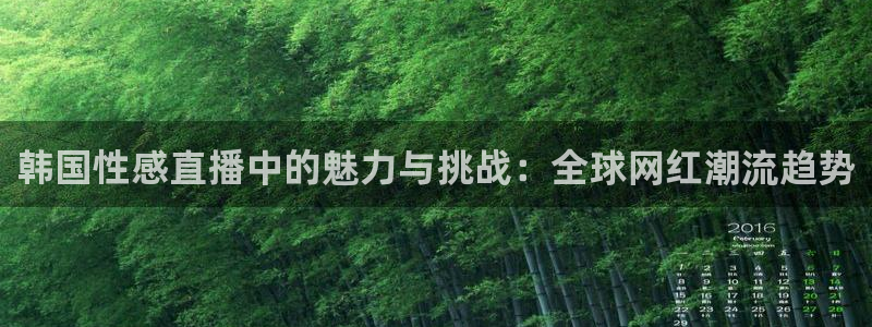 24直播篮球网：韩国性感直播中的魅力与挑战：全球网红潮流趋势